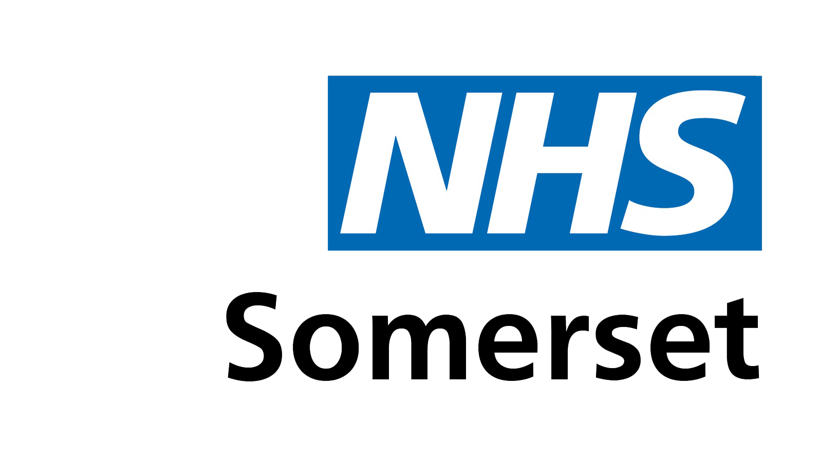 NHS Somerset Logo